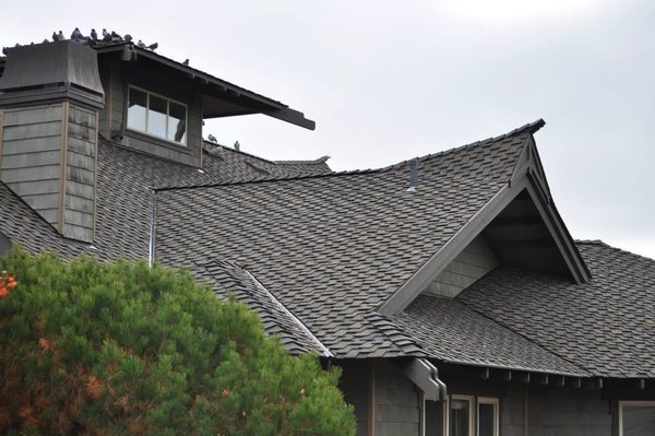 Bird Exclusion - Bugs Northwest is one of the few in Southern Oregon who offers complete bat and bird removal, sanitation and exclusion. Many wildlife issues may be solved by exclusion – the practice of sealing up your home so nothing can infiltrate it. This practice is what Bugs Northwest recommends. We will search out any gaps and cracks in your home, seal them up and keep wildlife and rodents where they belong -not in your home. Whatever is left behind by unwanted visitors needs to be cleaned up and sanitized. We offer this service, including dead animal location and removal.
