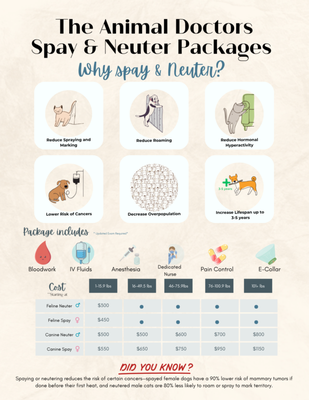 Love & Care Project: Spay, Neuter, Save Lives - Spay & Neuter at The Animal Doctors: Healthier Pets, Compassionate Care 🐾

Spaying or neutering your pet isn’t just about preventing litters—it’s one of the best things you can do for their long-term health, happiness, and behavior. At The Animal Doctors, we’ve designed our comprehensive spay and neuter packages to provide the safest, most comfortable experience for both pets and their people.

🌟 Why Spay or Neuter?
--Extend Your Pet’s Lifespan
Pets who are spayed or neutered typically live longer, healthier lives. The procedure dramatically reduces the risk of life-threatening infections and reproductive cancers.
--Prevent Reproductive Cancers & Illness
Spaying eliminates the risk of pyometra (a dangerous uterine infection) and reduces the chance of mammary tumors. Neutering helps prevent testicular cancer and reduces prostate-related issues in males.

--Reduce Hormonal Behaviors
Spay/neuter surgery can help minimize undesirable behaviors such as:
• Roaming to find a mate
• Territorial spraying or marking
• Aggression or mounting
• Excessive vocalization or restlessness

--Fight Overpopulation
Every year, millions of unwanted animals end up in shelters. By spaying or neutering your pet, you’re directly helping reduce overcrowding and giving more animals a chance at finding loving homes.

💛 What Makes Our Packages Different?
At The Animal Doctors, we go above and beyond to ensure your pet receives top-tier medical care, comfort, and attention before, during, and after their surgery.

All of our spay and neuter packages include:

✅ Pre-surgical bloodwork – to assess internal organ function and ensure your pet is a safe candidate for anesthesia
✅ IV fluids – to keep your pet hydrated, maintain stable blood pressure, and support recovery
✅ Comprehensive pain management – including medications during and after surgery to keep your pet comfortable
✅ A dedicated recovery nurse – one-on-one monitoring during recovery to ensure your pet wakes up safely and stress-free
✅ An e-collar (cone) – to prevent licking or chewing at the incision, helping to avoid complications

We never cut corners. Your pet deserves thoughtful, thorough care, and that’s exactly what they’ll receive.

🏥 Serving Pets in Anaheim, Buena Park & Mission Viejo
Whether you’ve just welcomed a new puppy or kitten or you're catching up on essential care, our team is ready to help. We make it easy to get your pet in for surgery and back home safely, treated with kindness every step of the way.

📞 Book Your Appointment Today
Give your pet the best start possible. Call us today or book online to reserve your spot for spay/neuter services. Our team is happy to answer any questions and guide you through what to expect.

Because every pet deserves a healthy, happy future, starting today. 💛