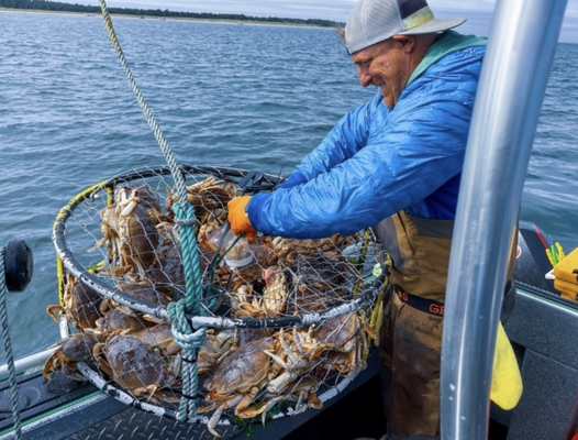 Crab Charter - Crabbing with First Pass Outfitters is an absolute blast for adults and children, regardless of your prior fishing or crabbing experience.
The abundance of the delicious Dungeness Crab in the Columbia River often means everyone crabbing on the boat will reach their daily limits!