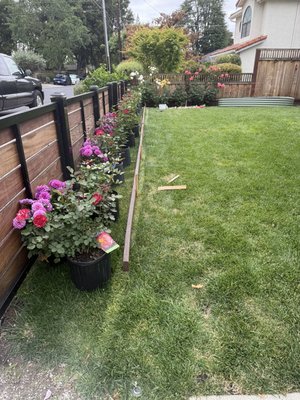 Garden Creation - Garden Creation
Flowers and Mulch
and Irrigation System Garden Creation - Garden Creation
Flowers and Mulch
and Irrigation System
