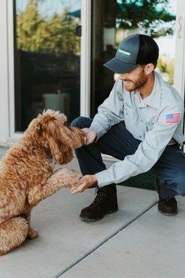 Mosquito Control - Mosquito Control and Prevention Mosquito Control - Mosquito Control and Prevention