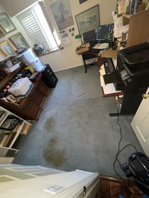 Carpet cleaning , pet odor removal , and Pet stain removal . - Pet Stain and Pet removal client hasn’t had carpets cleaned in years . Client love the results ! Carpet cleaning , pet odor removal , and Pet stain removal . - Pet Stain and Pet removal client hasn’t had carpets cleaned in years . Client love the results !