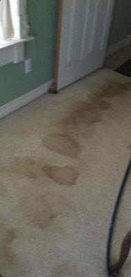 Before and After Cleaning Services - Before and After Before and After Cleaning Services - Before and After
