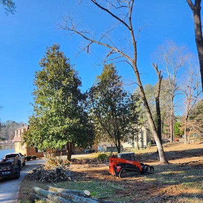 Tree Removal - We are pleased to report that we have successfully accomplished the tree removal project for our client, prioritizing safety protocols throughout the process. This dedication led to a highly satisfactory result, leaving the customer delighted with the services we provided.
