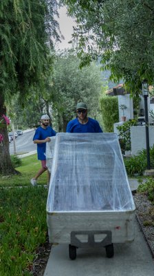 Best Moving Service - If you want a company that takes good care o its customers, all you need to do is come to Sinatra Moving Company. Our moving crew will seek to understand your needs and make sure that they serve you in the best way possible. Once we pick your stuff, you can be sure it will arrive to the desired destination in good time. We have put the best systems in place to help you track your items while on transit. In case of any problem like truck breakdown, our company professionals will always inform you in advance. However, you will rarely hear such cases with us because we have well maintained trucks. Customer service comes top on top on our priority list. Best Moving Service - If you want a company that takes good care o its customers, all you need to do is come to Sinatra Moving Company. Our moving crew will seek to understand your needs and make sure that they serve you in the best way possible. Once we pick your stuff, you can be sure it will arrive to the desired destination in good time. We have put the best systems in place to help you track your items while on transit. In case of any problem like truck breakdown, our company professionals will always inform you in advance. However, you will rarely hear such cases with us because we have well maintained trucks. Customer service comes top on top on our priority list.