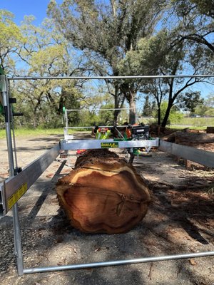 Portable Wood Mill - Ever thought creating something beautiful from the tree you just brought down? Like creating fence boards to give your place an updated look or an awesome live-edged redwood table you can place in the backyard where you can have everyone gather and have an unforgettable time with. Well, look no further! Our team of reliable wood mill operators are on stand-by, ready to help turn that dream into a possibility. Portable Wood Mill - Ever thought creating something beautiful from the tree you just brought down? Like creating fence boards to give your place an updated look or an awesome live-edged redwood table you can place in the backyard where you can have everyone gather and have an unforgettable time with. Well, look no further! Our team of reliable wood mill operators are on stand-by, ready to help turn that dream into a possibility.
