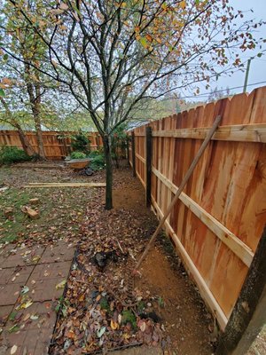 Red Cedar Privacy - Red Cedar is strong and durable. It's very stable and isn't likely to shrink or warp after installation. It contains oils that make it naturally resistant to insects and rot for a long-lasting fence. Red Cedar Privacy - Red Cedar is strong and durable. It's very stable and isn't likely to shrink or warp after installation. It contains oils that make it naturally resistant to insects and rot for a long-lasting fence.