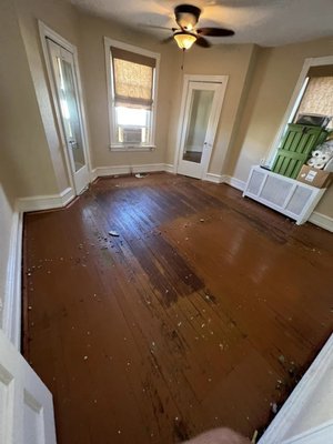 2 Bedroom Clean Out/ Carpet Removal - Another very happy customer we take pride in what we do ! This is a recent job we did for a customer 2 bedroom clean out and carpet removal ✂️🚛 contact us today for all your Moving & Hauling !!!! No job to small or big we get it done 😁