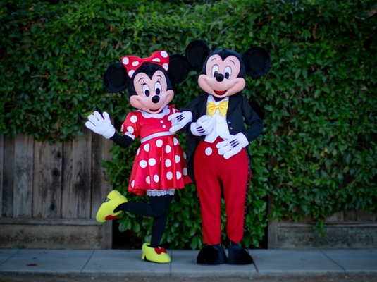 Mascot Costumes - Fun Cloud Events offers a choice of beloved mascots to bring excitement to your celebration! Whether you prefer Mickey, Minnie Mouse, Olaf, Grinch or Sonic, you can select your favorite character to surprise the special person with a magical 30-minute visit and make your event truly unforgettable.

Our mascots are original characters inspired by beloved themes and are not affiliated with, endorsed by, or associated with The Walt Disney Company or any of its affiliates