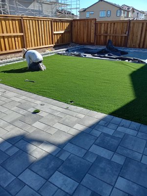 Synthetic and Natural Grass - We specialize in Synthetic-Natural grass Synthetic and Natural Grass - We specialize in Synthetic-Natural grass
