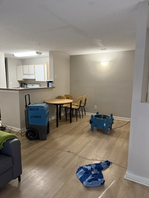 Apartment Water Damage Mitigation | Athens, GA - Eagle Pro Services responded to a water intrusion event affecting multiple apartment units at River Club Apartments in Athens, GA. Our team was brought in to mitigate active moisture conditions, stabilize the affected units, and help prevent secondary damage.

Services performed included water extraction, antimicrobial treatment, and placement of commercial grade drying equipment, along with ongoing moisture monitoring throughout the dry out process. Work was completed across several units to support the property’s maintenance and management team and minimize disruption to residents.

Eagle Pro Services specializes in apartment and multifamily water damage mitigation, providing reliable emergency response and documentation for property managers throughout Athens and Northeast Georgia.