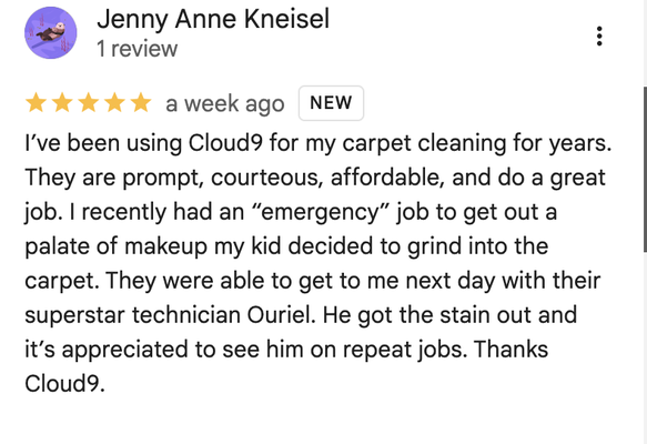 Testimonials - We have hundreds of Google reviews available to see at https://www.cloud9clean.com/about-our-services/cleaning-reviews Testimonials - We have hundreds of Google reviews available to see at https://www.cloud9clean.com/about-our-services/cleaning-reviews