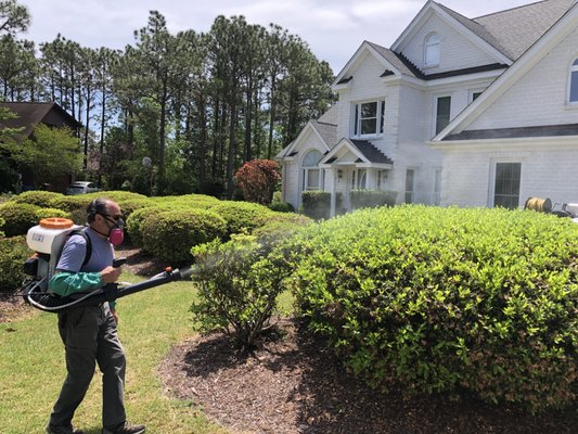 Mosquito Treatments - Rid your property of pesky mosquitos today with our monthly mosquito treatments. Starting as low as $50 a month with no contract required, its a pay as you go plan. 100% pet and human safe and effective to the point of 99% elimination of the mosquito population*
Any standing water will be dumped out and any creeks or small ponds on your property will be treated with Larvicide pellets that will eliminate Mosquito larva in the water.
In some cases we can come to your house the same day you call!
*Other factors such as neighbor proximity to your yard and standing water near the property make have an affect to the treatment. Mosquito Treatments - Rid your property of pesky mosquitos today with our monthly mosquito treatments. Starting as low as $50 a month with no contract required, its a pay as you go plan. 100% pet and human safe and effective to the point of 99% elimination of the mosquito population*
Any standing water will be dumped out and any creeks or small ponds on your property will be treated with Larvicide pellets that will eliminate Mosquito larva in the water.
In some cases we can come to your house the same day you call!
*Other factors such as neighbor proximity to your yard and standing water near the property make have an affect to the treatment.