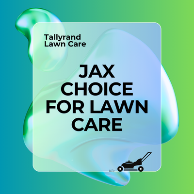 professional Lawn Mowing | Jacksonville, FL - Jacksonville, FL: Professional Lawn Mowing by Tallyrand Lawn Care professional Lawn Mowing | Jacksonville, FL - Jacksonville, FL: Professional Lawn Mowing by Tallyrand Lawn Care