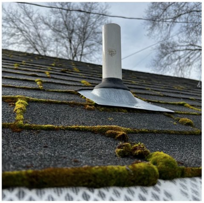 Moss Removal - Moss removal