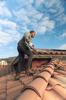 Bird Control & Prevention Services - Full Service Bird Control, Prevention and Bird Spike Installation / Exclusion Services Bird Control & Prevention Services - Full Service Bird Control, Prevention and Bird Spike Installation / Exclusion Services