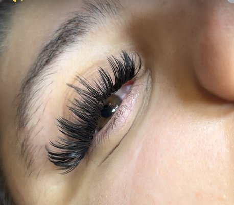 Lash extensions of all designs and set - Lash extensions of all designs and sets to meet your every lash design desires!