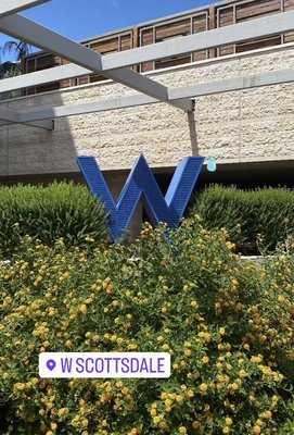 Element IV at the W Hotel - Keep your Sunday a fun day!
Element IV Therapy is now at the W Hotel in Scottsdale on Sundays!