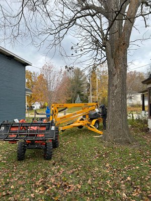 Big Oak removal - 🌳 Past Oak Tree Removal – Whitewater, WI
We completed a challenging and rewarding project in the heart of Whitewater, WI: the removal of a massive, decades-old oak tree that had become a safety hazard due to advanced oak wilt and structural instability. Big Oak removal - 🌳 Past Oak Tree Removal – Whitewater, WI
We completed a challenging and rewarding project in the heart of Whitewater, WI: the removal of a massive, decades-old oak tree that had become a safety hazard due to advanced oak wilt and structural instability.