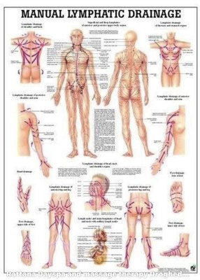 Manual Lymphatic Drainage - Manual Lymphatic Drainage (MLD) is a gentle, rhythmic technique that supports the body’s natural detox process. It’s especially beneficial after surgery, helping to reduce swelling, bruising, and scar tissue formation. MLD also aids in managing inflammation from injuries, accelerates healing, and enhances recovery during rehabilitation by promoting lymph flow, reducing fluid retention, and boosting immune response. Manual Lymphatic Drainage - Manual Lymphatic Drainage (MLD) is a gentle, rhythmic technique that supports the body’s natural detox process. It’s especially beneficial after surgery, helping to reduce swelling, bruising, and scar tissue formation. MLD also aids in managing inflammation from injuries, accelerates healing, and enhances recovery during rehabilitation by promoting lymph flow, reducing fluid retention, and boosting immune response.