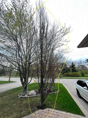 Tree removal on residence home - Residential small tree removal working on raining day
Call us we give you the quote and we do it on same day we get it done Tree removal on residence home - Residential small tree removal working on raining day
Call us we give you the quote and we do it on same day we get it done