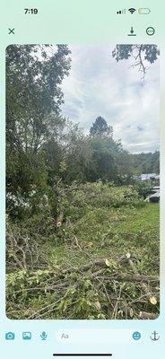 M&s tree service - Do awesome job doing tree work