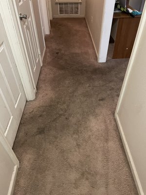 Carpet cleaning 12/18/2023 - This was quite the job these carpets were pretty heavily soiled. But our top of the line truck mounted steam cleaner made short work of these dirty carpets.