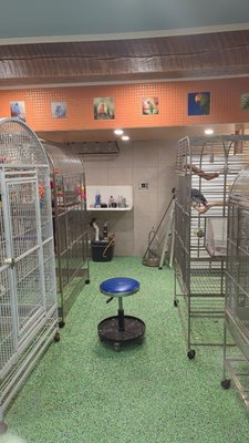 Photos of new aviary. - The lower level of my home was made into an aviary. It is fully functional. I can power wash. it has its own HVAC system, including an industrial strength air purifier. I'm in the process of obtaining all stainless steel cages. I'm a unique business catering to only birds. Come tour my facility! Photos of new aviary. - The lower level of my home was made into an aviary. It is fully functional. I can power wash. it has its own HVAC system, including an industrial strength air purifier. I'm in the process of obtaining all stainless steel cages. I'm a unique business catering to only birds. Come tour my facility!