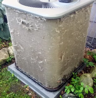 AC Cleaning Mastery: Unleash Refreshing Coolness with Maven Air Care - ❄️ Unleashing Arctic Coolness: The Captivating Journey of AC Cleaning by Maven Air Care 🌟
🌬️ Imagine this: Mrs. Rodriguez, a homeowner in the sweltering heat of summer, found herself at odds with an underperforming AC system. The once refreshing breeze had diminished to a feeble puff, leaving her family drenched in sweat. Determined to reclaim the icy coolness that once filled her home, she turned to Maven Air Care, the trusted experts in AC cleaning, for a solution that would revive her cooling sanctuary.
🌬️ Our team of skilled technicians arrived at Mrs. Rodriguez's doorstep, armed with expertise and cutting-edge tools. Little did she know, a buildup of dust, dirt, and debris had silently accumulated within her AC unit, impairing its efficiency and diminishing its cooling power. It was time to uncover the hidden obstacles that stood between her and a blissfully cool home.
🌬️ With precision and care, our experts embarked on the task of revitalizing Mrs. Rodriguez's AC system. They meticulously cleaned the condenser coils, removing layers of grime and restoring their pristine condition. The clogged filters were replaced, and the blower components were carefully inspected and tuned for optimal performance.
🌬️ As the AC system roared back to life, a refreshing burst of cold air filled the rooms, banishing the stifling heat that had plagued Mrs. Rodriguez's home. The icy coolness embraced every corner, providing relief and comfort to her family. The transformation was not just in the temperature, but in the restored efficiency and energy-saving benefits that accompanied it.
🌬️ Inspired by her experience, Mrs. Rodriguez couldn't contain her excitement. She shared her captivating story with friends, neighbors, and colleagues, encouraging them to prioritize AC cleaning for optimal performance and energy efficiency. Her tale served as a reminder of the importance of regular maintenance to prolong the life of their AC units and ensure year-round comfort.
🌬️ Today, Maven Air Care stands as the go-to authority in AC cleaning, dedicated to unleashing the Arctic coolness within homes. Don't let a struggling AC system leave you sweltering in the heat. Trust the experts at Maven Air Care to unveil the hidden obstacles and restore the refreshing coolness you deserve.
🌬️ Contact Maven Air Care today to schedule your AC cleaning and experience the remarkable difference it can make in your home. Together, let's embrace the chill of summer and revel in the delight of a cool sanctuary. Say goodbye to discomfort and hello to the captivating journey of AC cleaning! AC Cleaning Mastery: Unleash Refreshing Coolness with Maven Air Care - ❄️ Unleashing Arctic Coolness: The Captivating Journey of AC Cleaning by Maven Air Care 🌟
🌬️ Imagine this: Mrs. Rodriguez, a homeowner in the sweltering heat of summer, found herself at odds with an underperforming AC system. The once refreshing breeze had diminished to a feeble puff, leaving her family drenched in sweat. Determined to reclaim the icy coolness that once filled her home, she turned to Maven Air Care, the trusted experts in AC cleaning, for a solution that would revive her cooling sanctuary.
🌬️ Our team of skilled technicians arrived at Mrs. Rodriguez's doorstep, armed with expertise and cutting-edge tools. Little did she know, a buildup of dust, dirt, and debris had silently accumulated within her AC unit, impairing its efficiency and diminishing its cooling power. It was time to uncover the hidden obstacles that stood between her and a blissfully cool home.
🌬️ With precision and care, our experts embarked on the task of revitalizing Mrs. Rodriguez's AC system. They meticulously cleaned the condenser coils, removing layers of grime and restoring their pristine condition. The clogged filters were replaced, and the blower components were carefully inspected and tuned for optimal performance.
🌬️ As the AC system roared back to life, a refreshing burst of cold air filled the rooms, banishing the stifling heat that had plagued Mrs. Rodriguez's home. The icy coolness embraced every corner, providing relief and comfort to her family. The transformation was not just in the temperature, but in the restored efficiency and energy-saving benefits that accompanied it.
🌬️ Inspired by her experience, Mrs. Rodriguez couldn't contain her excitement. She shared her captivating story with friends, neighbors, and colleagues, encouraging them to prioritize AC cleaning for optimal performance and energy efficiency. Her tale served as a reminder of the importance of regular maintenance to prolong the life of their AC units and ensure year-round comfort.
🌬️ Today, Maven Air Care stands as the go-to authority in AC cleaning, dedicated to unleashing the Arctic coolness within homes. Don't let a struggling AC system leave you sweltering in the heat. Trust the experts at Maven Air Care to unveil the hidden obstacles and restore the refreshing coolness you deserve.
🌬️ Contact Maven Air Care today to schedule your AC cleaning and experience the remarkable difference it can make in your home. Together, let's embrace the chill of summer and revel in the delight of a cool sanctuary. Say goodbye to discomfort and hello to the captivating journey of AC cleaning!