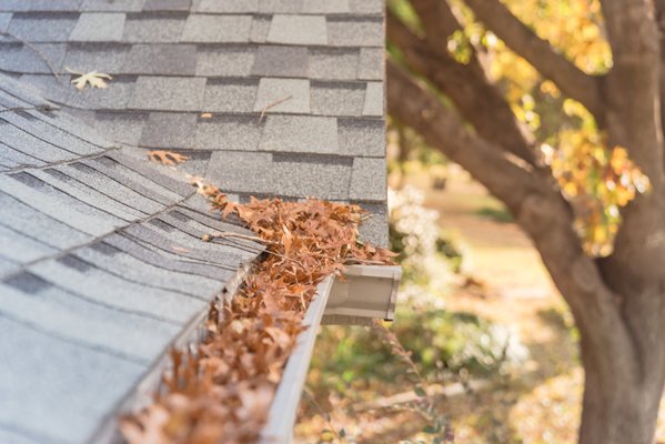 Roof/Gutter Debris Removal - The leaves, branches and pine needles that land on your roof and in your gutters borne from your beautiful trees can cause damage and be dangerous to reach. We can help you protect your roof and gutters from trapped moisture by safely removing this debris