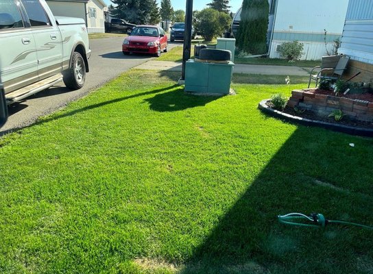 Shadyside Lawn Services Lawn Trimming team - Pittsburgh, PA area Lawn Trimming specialists Shadyside Lawn Services Lawn Trimming team - Pittsburgh, PA area Lawn Trimming specialists