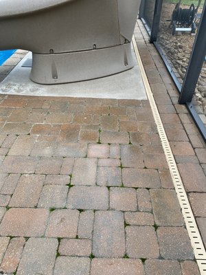algae and organic material removal - Contact us today for a quote! algae and organic material removal - Contact us today for a quote!