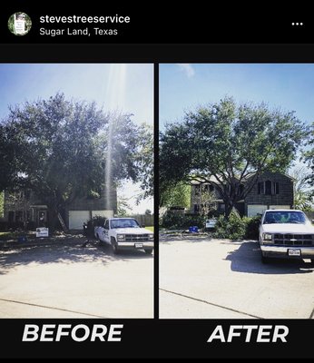 Curb Appeal & Property Value Increase - Steve’s TREE Service will provide excellent service for your property investment needs.