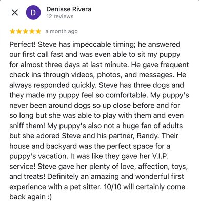 Reviews past and present clients write about Steven’s Doggy Services - Read what other happy pet owners are saying about Steven’s Doggy Services.
