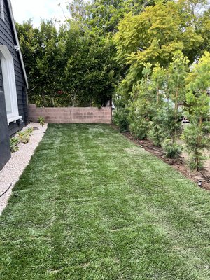 Sprinkler system troubleshooting - If your existing sprinkler system is Not working, it’s our job at A1 Irrigation to figure out why. it could be something related to the wiring or something as simple as the shut off valve being stuck in the closed position. We can identify to root cause of the problem and give you a solution to fix it.