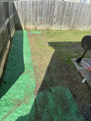 Reseeded, fertilized, aerated, leveled - Leveled, aerated, reseeded and fertilized a dying lawn