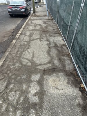 Sidewalk Maintenance - We offer Sidewalk & Parking Lot maintenance Packages Sidewalk Maintenance - We offer Sidewalk & Parking Lot maintenance Packages