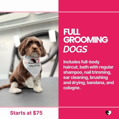 Before & After - With 15+ years of experience, TLC Mobile Pet Grooming in Palm Beach offers expert mobile dog and cat grooming at your doorstep. From haircuts and nail trims to teeth cleaning and free flea treatments, your pets are in loving hands Before & After - With 15+ years of experience, TLC Mobile Pet Grooming in Palm Beach offers expert mobile dog and cat grooming at your doorstep. From haircuts and nail trims to teeth cleaning and free flea treatments, your pets are in loving hands