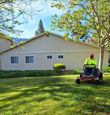 HOAs-Regular Landscape Maintenance - Our expert commercial landscape maintenance services are tailored specifically for HOAs like yours.
Lawn Care: We'll keep your lawns lush HOAs-Regular Landscape Maintenance - Our expert commercial landscape maintenance services are tailored specifically for HOAs like yours.
Lawn Care: We'll keep your lawns lush