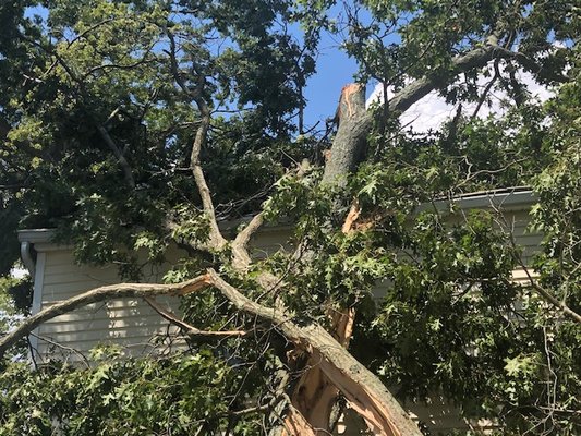 Storm damage - Storm damage from a tree. We handled the whole claim for them