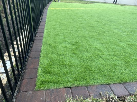 Turf grass - Install turf grass with border Turf grass - Install turf grass with border