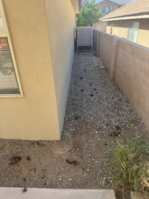 Before vs After - A clean yard isn’t just nicer to look at — it’s safer and healthier for your pets and family too!
Check out this transformation: from messy to spotless, all thanks to Scooper Trooper 💪.
✅ Professional scooping
✅ Odor neutralizing
✅ Pet-safe and family-friendly
Let us handle the dirty work so you can enjoy your yard again!
📍 Serving the Albuquerque area — Book your cleanup today! Before vs After - A clean yard isn’t just nicer to look at — it’s safer and healthier for your pets and family too!
Check out this transformation: from messy to spotless, all thanks to Scooper Trooper 💪.
✅ Professional scooping
✅ Odor neutralizing
✅ Pet-safe and family-friendly
Let us handle the dirty work so you can enjoy your yard again!
📍 Serving the Albuquerque area — Book your cleanup today!
