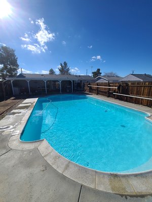 Green and Clean - This pool took a week of work, a ton of chemicals and patience to let the system do its job. We were able to save the water and did not need to drain it.