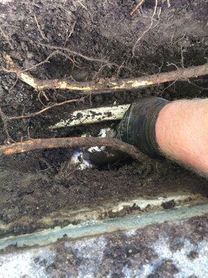 Spike in pipe - This client put stakes in the ground during the winter, in the spring found out that one of them went through a sprinkler pipe. The difficulty was that the break was right next to the sidewalk with roots and was hard to get to. Spike in pipe - This client put stakes in the ground during the winter, in the spring found out that one of them went through a sprinkler pipe. The difficulty was that the break was right next to the sidewalk with roots and was hard to get to.