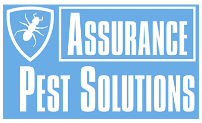 Massachusetts - Rhode Island Full Service Pest Control & Wildlife Removal-The reputation you can trust - Due to popular demand we have increased our service location areas-Our full service pest control and wildlife removal Now available in Rhode Island. We offer pest control and wildlife removal services for residential and commercial properties. We specialize in rodent and wildlife exclusion. Massachusetts - Rhode Island Full Service Pest Control & Wildlife Removal-The reputation you can trust - Due to popular demand we have increased our service location areas-Our full service pest control and wildlife removal Now available in Rhode Island. We offer pest control and wildlife removal services for residential and commercial properties. We specialize in rodent and wildlife exclusion.