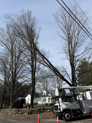 Storm damage in watertown - Here is a job we completed in Watertown after recent storm damage 🌪️🌳
Storms can leave behind more than just a mess—they can create dangerous situations around your home or property.
At AAA Home Tree Removal Experts, we specialize in safely removing storm-damaged trees, broken limbs, and hazardous debris. Whether a tree is leaning, split, or completely down, our team has the equipment and experience to handle it quickly and safely.
✅ Emergency tree removal
✅ Fallen & damaged tree cleanup
✅ Hazardous limb removal
✅ Fast, reliable service
Don’t wait until it becomes a bigger problem—protect your home and your family.
📞 Call us today (860 863 6388) for a free estimate! Storm damage in watertown - Here is a job we completed in Watertown after recent storm damage 🌪️🌳
Storms can leave behind more than just a mess—they can create dangerous situations around your home or property.
At AAA Home Tree Removal Experts, we specialize in safely removing storm-damaged trees, broken limbs, and hazardous debris. Whether a tree is leaning, split, or completely down, our team has the equipment and experience to handle it quickly and safely.
✅ Emergency tree removal
✅ Fallen & damaged tree cleanup
✅ Hazardous limb removal
✅ Fast, reliable service
Don’t wait until it becomes a bigger problem—protect your home and your family.
📞 Call us today (860 863 6388) for a free estimate!