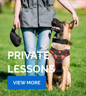 Private Lessons - To learn more about how to book a Private Lesson visit website. Schedule a private or group Meet and Greet appointment.
We will:
Ask you questions about your dog's history
Inquire as to your training goals
Explain our training philosophy and services
Recommend which program would be the best fit for you and your dog Private Lessons - To learn more about how to book a Private Lesson visit website. Schedule a private or group Meet and Greet appointment.
We will:
Ask you questions about your dog's history
Inquire as to your training goals
Explain our training philosophy and services
Recommend which program would be the best fit for you and your dog