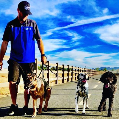Pet Training - At Leashless we help you and your dog build a solid foundation of learning. From this foundation you can teach your dog anything!

We have training to fit any lifestyle. Boarding School, Private Lessons in your home or at our training facility in Menifee. We also offer daycare and Overnight boarding. These are just a few things that Leashless Dog Training has to offer you and your dog.  Check us out online at LeashlessRanch.com