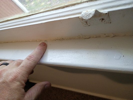 open painted and sealed windows - Had to cut caulk out and break the paint loose to get all windows opened and placed weather stripping along bottom of windows for weather proofing open painted and sealed windows - Had to cut caulk out and break the paint loose to get all windows opened and placed weather stripping along bottom of windows for weather proofing