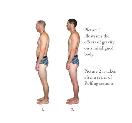 What is Rolfing? - Rolfing, also known as Structural Integration, is a system of deep body manipulation and movement education. It is a sophisticated technique for lengthening, aligning, and ordering the human body in the gravitational field.
If you are injured or in pain, or feel limited and restricted in your body, Rolfing can restore mobility and good functioning of joints and connective tissues. It can reduce, and often eliminate, pain and movement restriction caused by whiplash accidents and work- or sports-related injuries. Rolfing can help correct disorders such as carpal tunnel syndrome, scoliosis, sciatica, joint dysfunction, TMJ syndrome, and repetitive stress injury.
If you are injured or in pain, or feel limited and restricted in your body, Rolfing can restore mobility and good functioning of joints and connective tissues. It can reduce, and often eliminate, pain and movement restriction caused by whiplash accidents and work- or sports-related injuries, and can help correct disorders such as carpal tunnel syndrome, scoliosis, sciatica, joint dysfunction, TMJ syndrome, and repetitive stress injury.
Rolfing achieves its remarkable results through manipulation of the myofascial system, which includes both muscles and connective tissue, also called fascia. Connective tissue surrounds, penetrates, and connects every part of the body, including bones, muscles, and internal organs. Through a Rolfer’s refined and intelligent touch, the connective tissues are loosened and lengthened. This allows the body to re-organize and re-align, improving its relationship to the gravitational field.
Research indicates that Rolfing creates a more efficient use of the muscles, allows the body to conserve energy, and creates more refined patterns of movement. Rolfing has the ability to dramatically alter a person's posture and structure. It can reduce chronic and/or acute pain, relieve stress, aid in the healing of injuries, and improve performance in the daily activities of children, adults, and seniors. Rolfing offers a holistic approach to healing, offering perceptual insights and understanding that often reach beyond the merely physical. What is Rolfing? - Rolfing, also known as Structural Integration, is a system of deep body manipulation and movement education. It is a sophisticated technique for lengthening, aligning, and ordering the human body in the gravitational field.
If you are injured or in pain, or feel limited and restricted in your body, Rolfing can restore mobility and good functioning of joints and connective tissues. It can reduce, and often eliminate, pain and movement restriction caused by whiplash accidents and work- or sports-related injuries. Rolfing can help correct disorders such as carpal tunnel syndrome, scoliosis, sciatica, joint dysfunction, TMJ syndrome, and repetitive stress injury.
If you are injured or in pain, or feel limited and restricted in your body, Rolfing can restore mobility and good functioning of joints and connective tissues. It can reduce, and often eliminate, pain and movement restriction caused by whiplash accidents and work- or sports-related injuries, and can help correct disorders such as carpal tunnel syndrome, scoliosis, sciatica, joint dysfunction, TMJ syndrome, and repetitive stress injury.
Rolfing achieves its remarkable results through manipulation of the myofascial system, which includes both muscles and connective tissue, also called fascia. Connective tissue surrounds, penetrates, and connects every part of the body, including bones, muscles, and internal organs. Through a Rolfer’s refined and intelligent touch, the connective tissues are loosened and lengthened. This allows the body to re-organize and re-align, improving its relationship to the gravitational field.
Research indicates that Rolfing creates a more efficient use of the muscles, allows the body to conserve energy, and creates more refined patterns of movement. Rolfing has the ability to dramatically alter a person's posture and structure. It can reduce chronic and/or acute pain, relieve stress, aid in the healing of injuries, and improve performance in the daily activities of children, adults, and seniors. Rolfing offers a holistic approach to healing, offering perceptual insights and understanding that often reach beyond the merely physical.